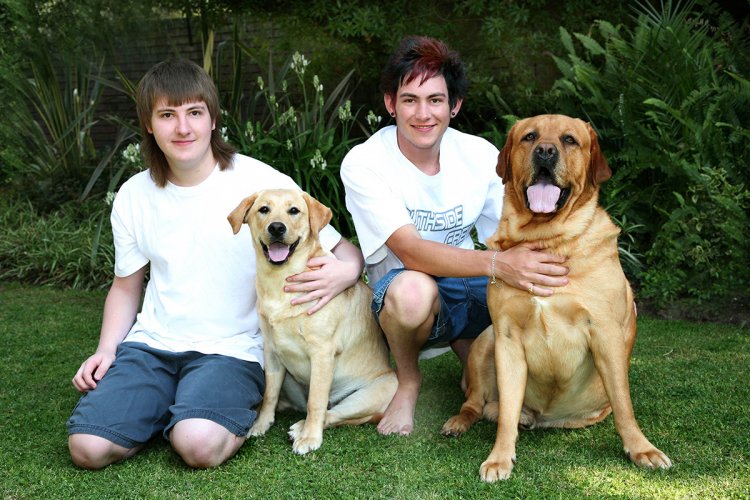 Pets